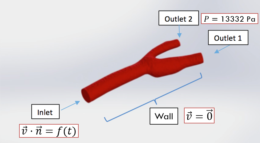 Artery Schematic Geometry (Blood Flow)