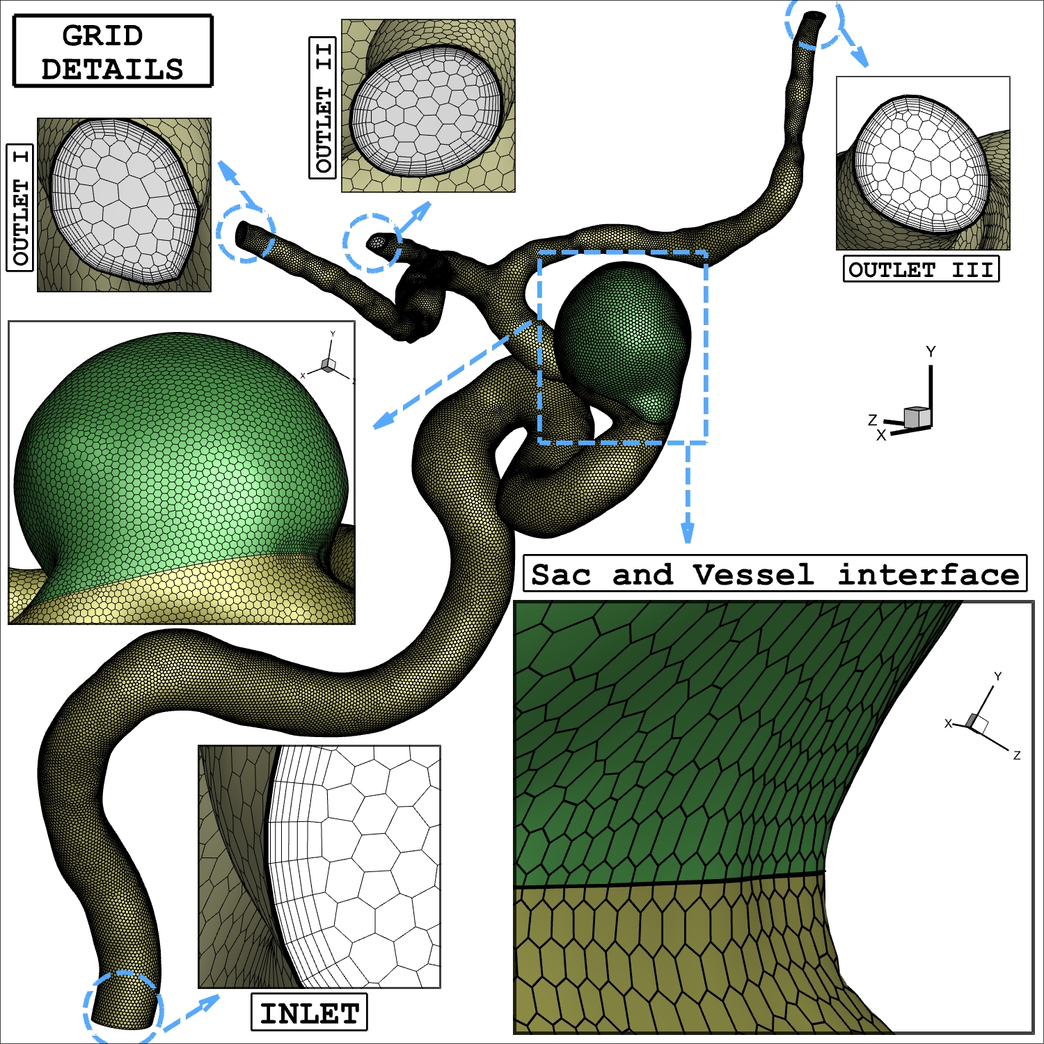 Cardiovascular Biomechanics Lab