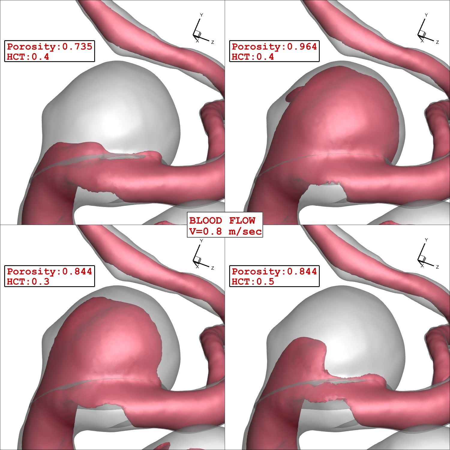 Cardiovascular Biomechanics Lab